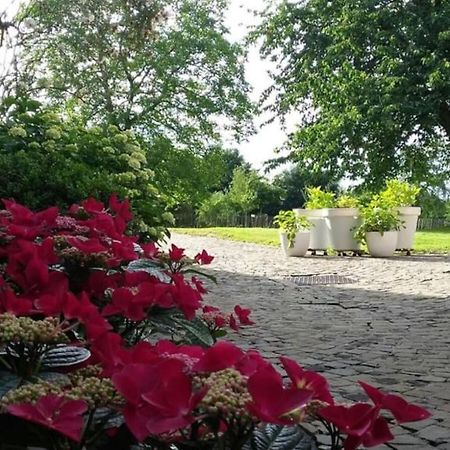 Country House Clos Des Hortensias Blegny ภายนอก รูปภาพ