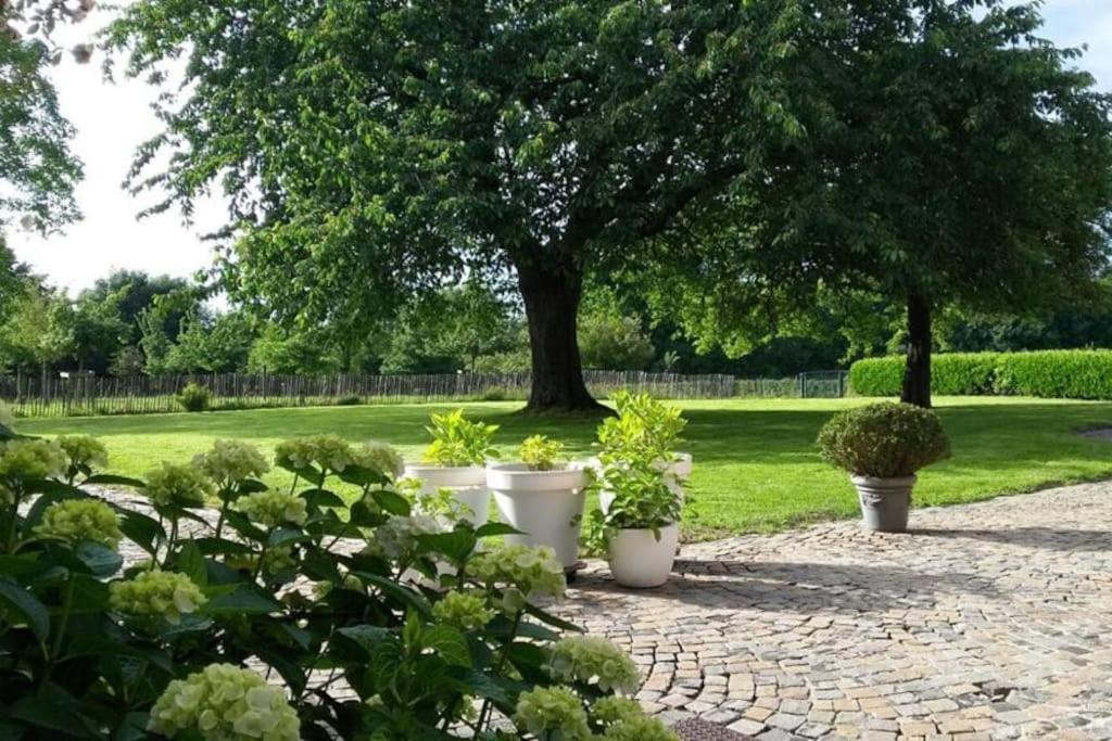 Country House Clos Des Hortensias Blegny ภายนอก รูปภาพ